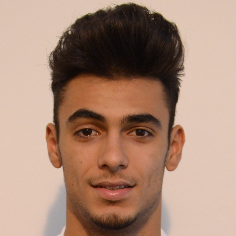 BIRNOI COSMIN MARIAN