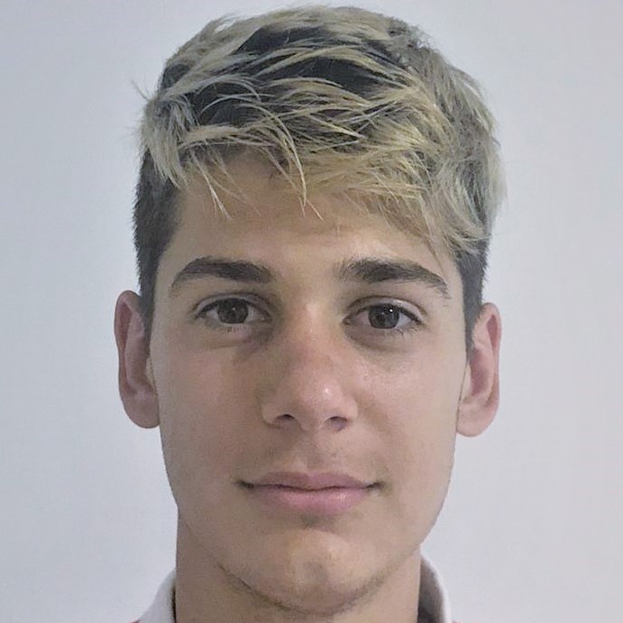 BORCEA VALENTIN IOAN