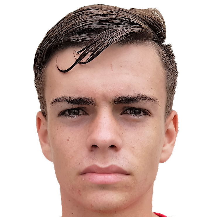 DUMITRU CRISTIAN COSMIN