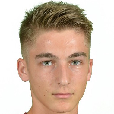LEASA MIRCEA VALENTIN