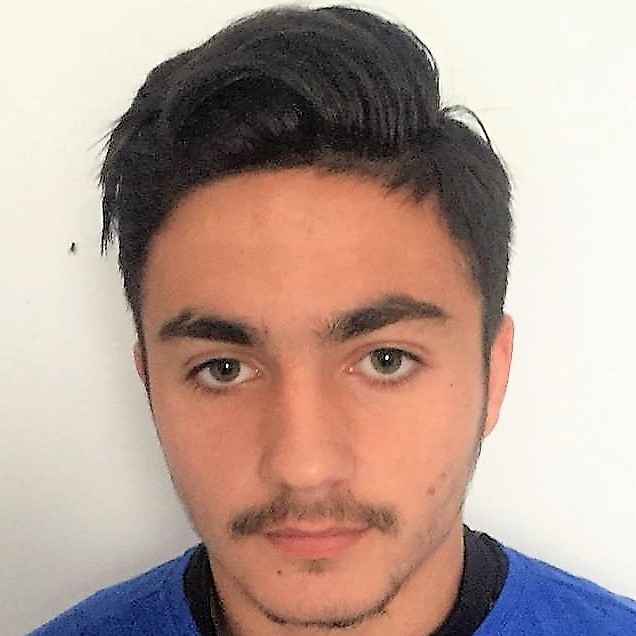 MIHAI DARIUS ROBERTO