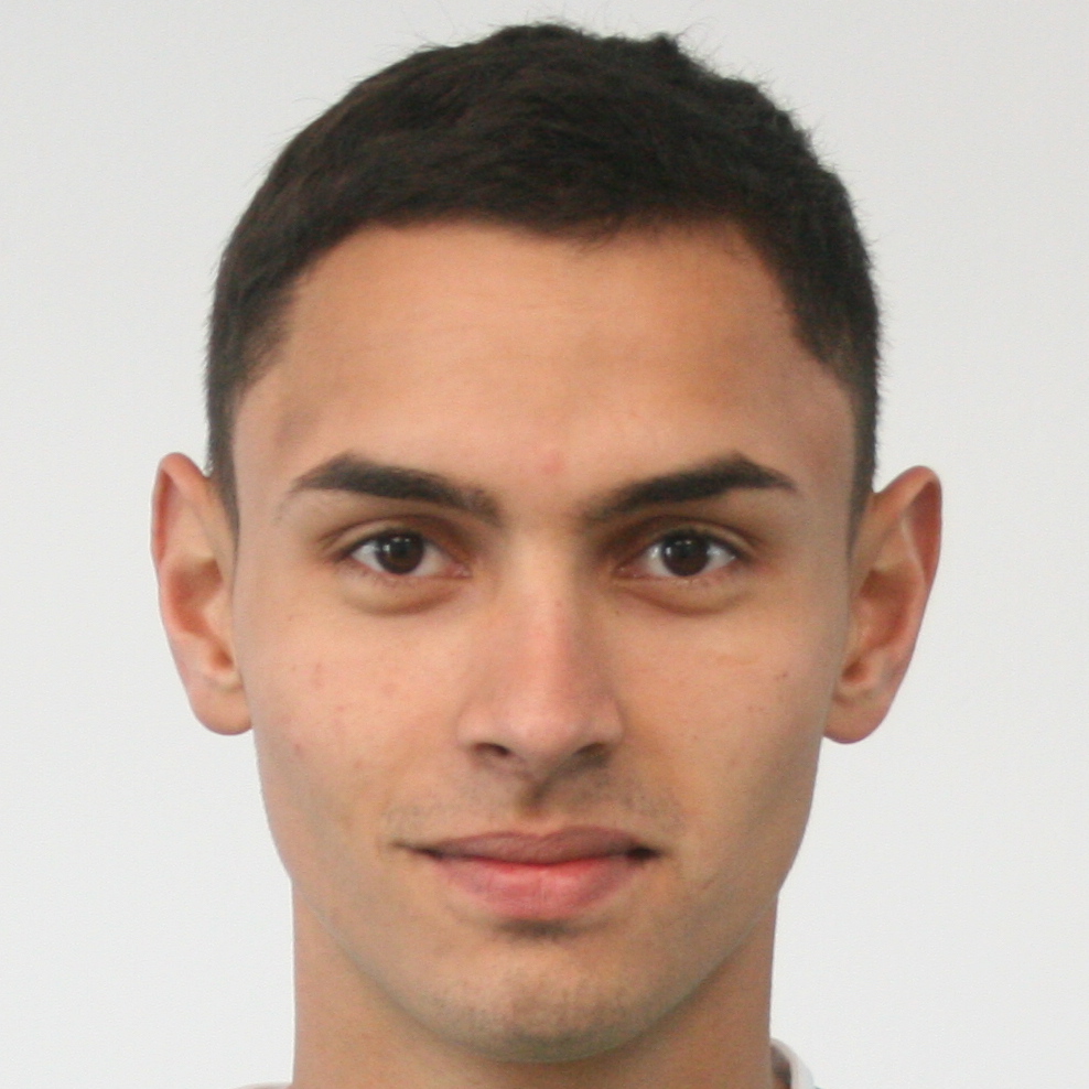 RADUCANU DUMITRU ROBERT