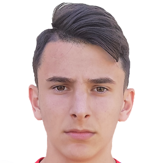 STOICA IANIS ILIE